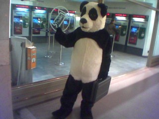 Panda in GCT